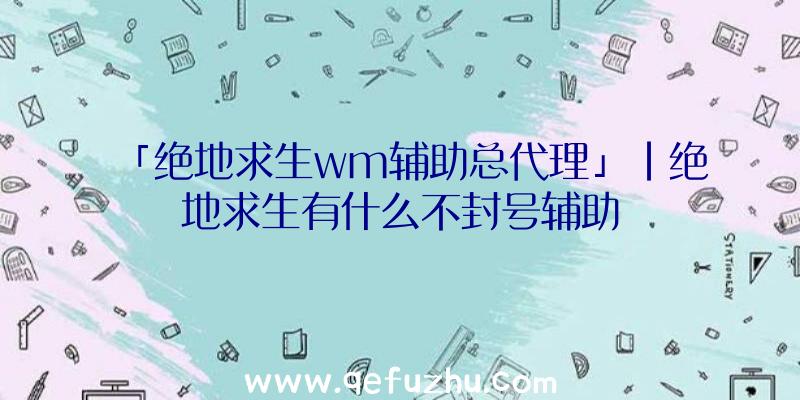 「绝地求生wm辅助总代理」|绝地求生有什么不封号辅助